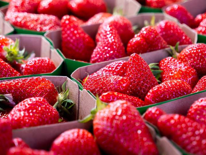 Fruits de saison Tours