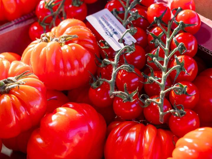 Vente fruits de saison Tours